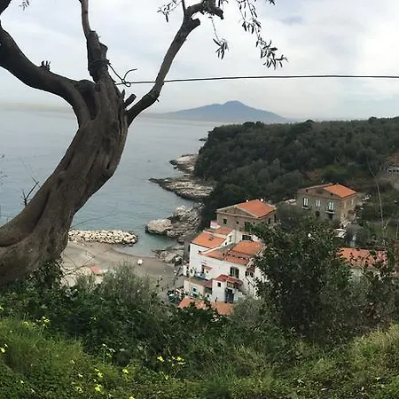 Rosmary - Coast - Gulf Of Naples View Apartment *