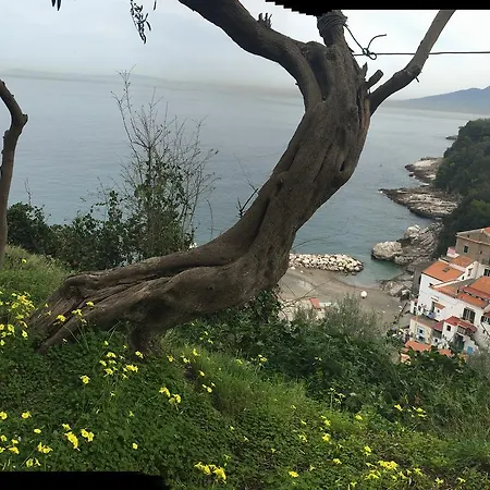 Rosmary - Coast - Gulf Of Naples View Apartment