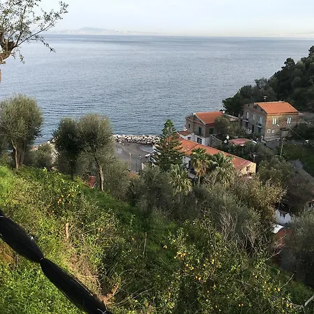 Rosmary - Coast - Gulf Of Naples View Apartment