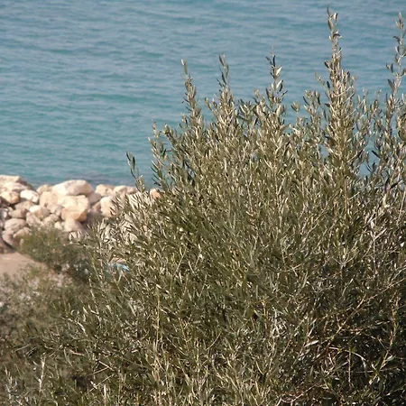 Rosmary - Coast - Gulf Of Naples View