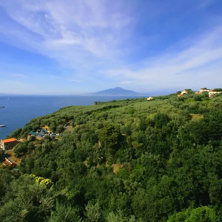 Apartment Rosmary - Coast - Gulf Of Naples View