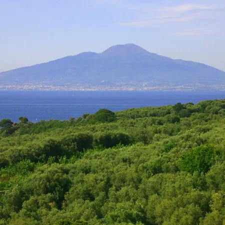 Apartment Rosmary - Coast - Gulf Of Naples View Sorrento