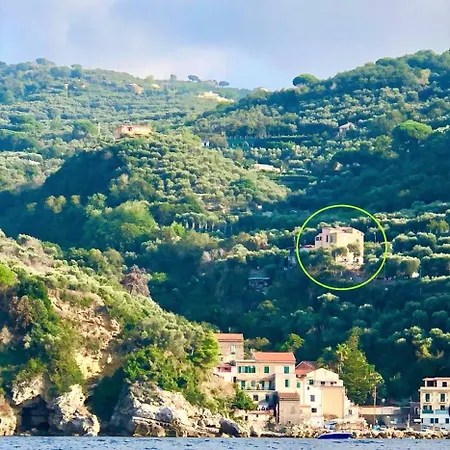 Rosmary - Coast - Gulf Of Naples View Sorrento